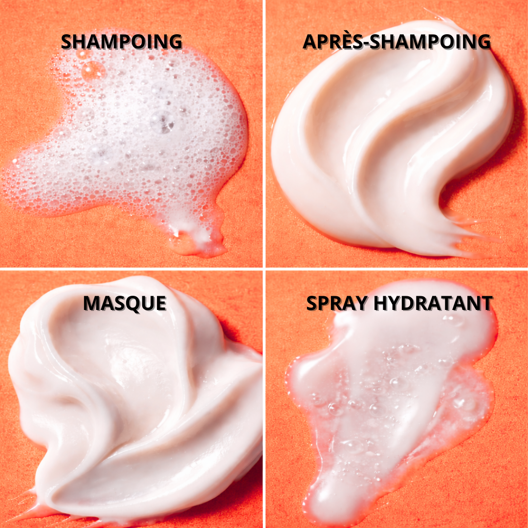 Kit Voyage Reparation & Force – Shampoing, Après-Shampoing, Masque & Brume