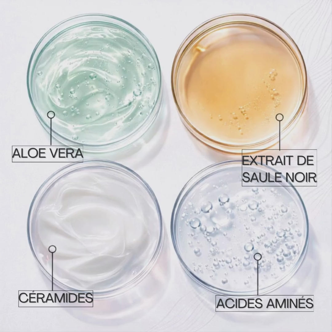 Après-Shampoing Anti-Frizz & Discipline – Saule noir & Bleuet